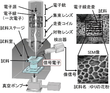 走査電子顕微鏡(SEM)の原理と応用 | JAIMA 一般社団法人 日本分析機器 ...