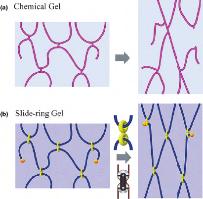 （a）一般的なゲルの変形の模式図、（b）ポリロタキサンからなるゲルの模式図"